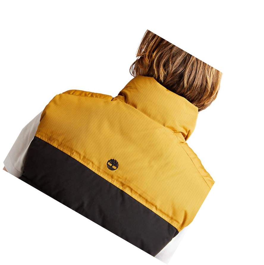 Chalecos Timberland Welch Mountain Puffer Hombre Negras | ES-EWCRZ71