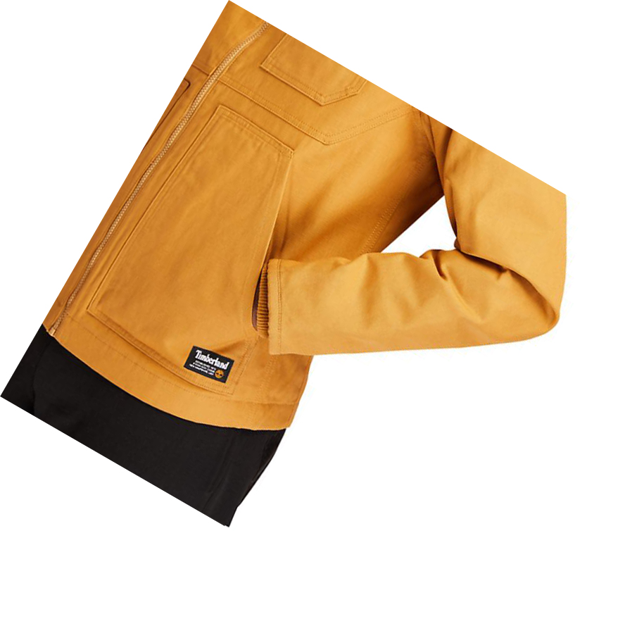 Chaquetas Timberland Errand Hombre Amarillo | ES-LZEGD08