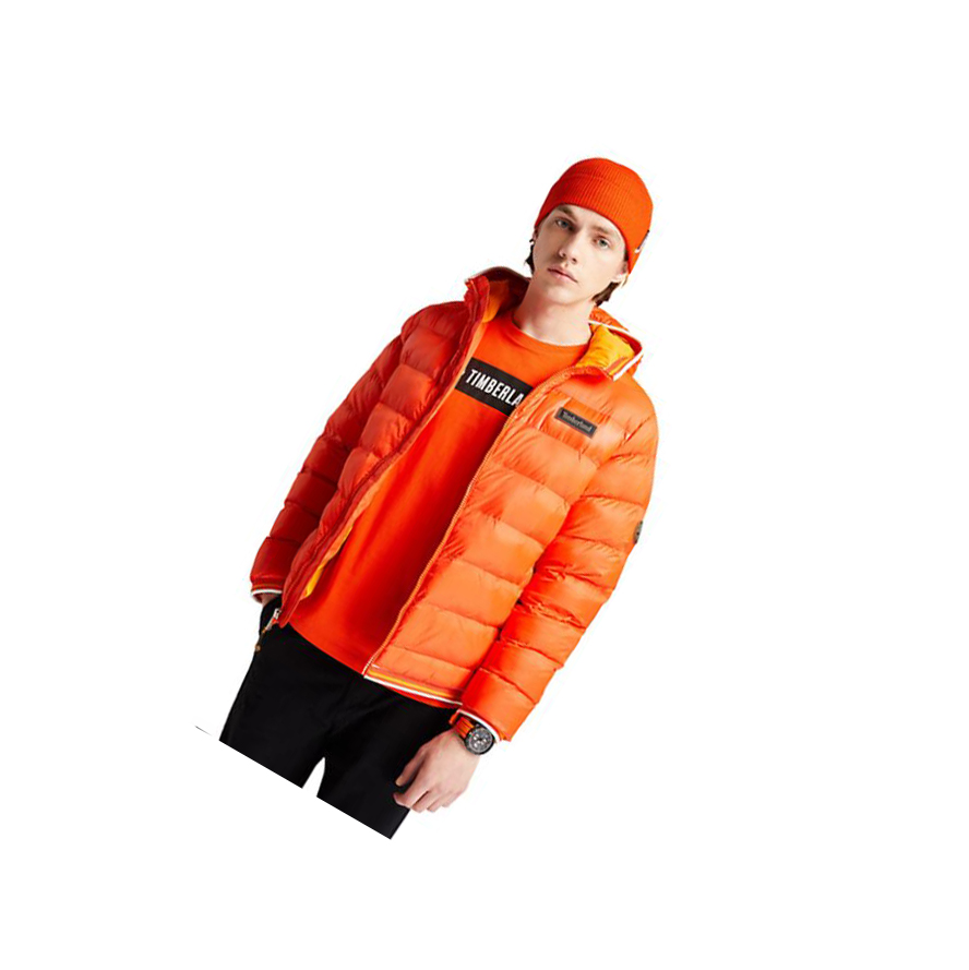 Chaquetas Timberland Garfield Encapuchado Puffer Hombre Naranjas | ES-DCESF67