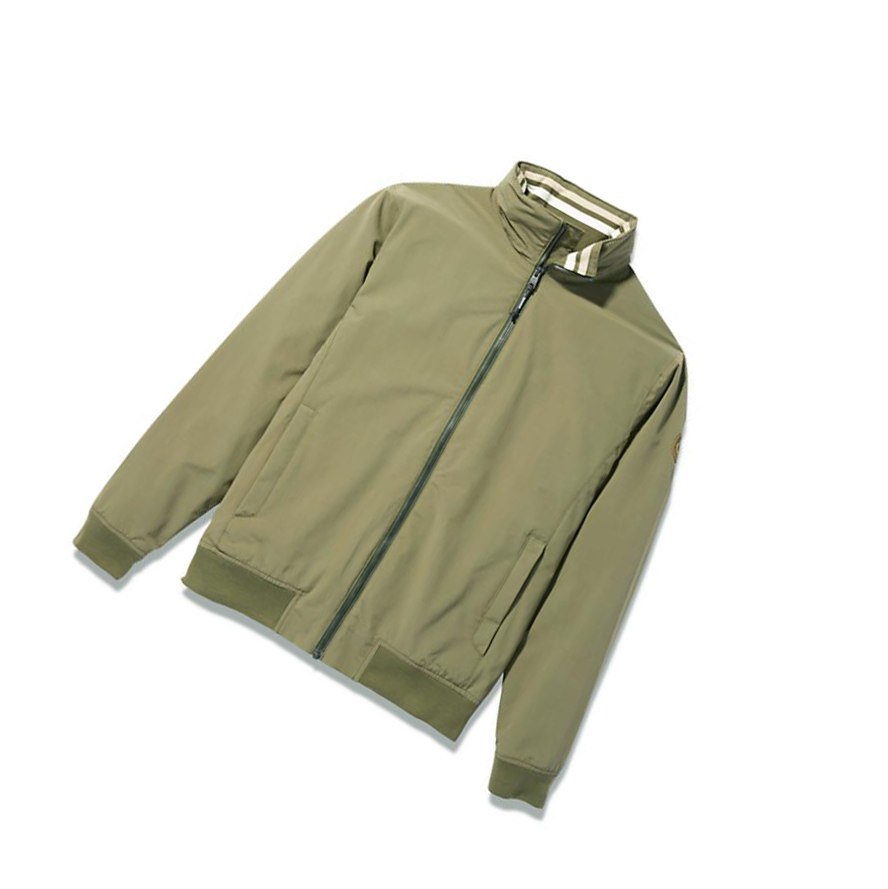 Chaquetas Timberland Mount Lafayette Bomber Hombre Verde | ES-PETUF36