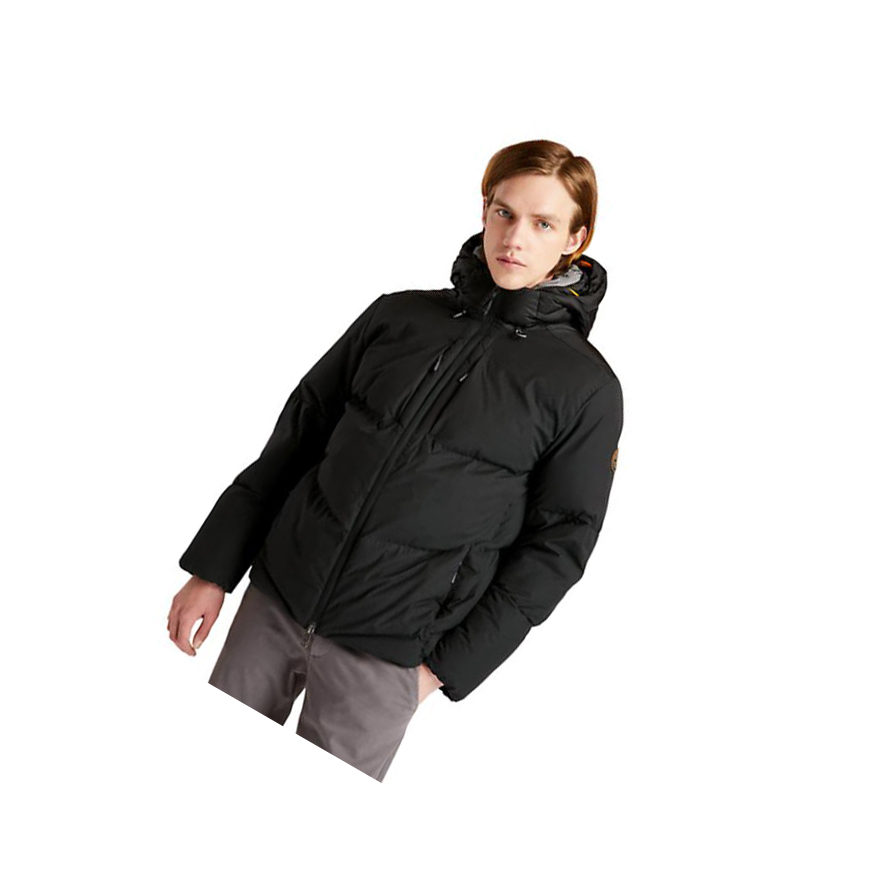 Chaquetas Timberland Neo Summit Invierno Quilted-Híbrido Hombre Negras | ES-FHASX34