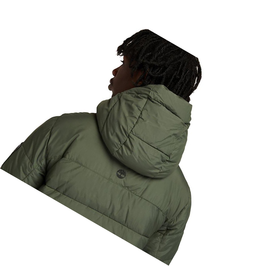 Chaquetas Timberland Outdoor Archive Puffer Quilted-Híbrido Hombre Verde | ES-DBPKX56