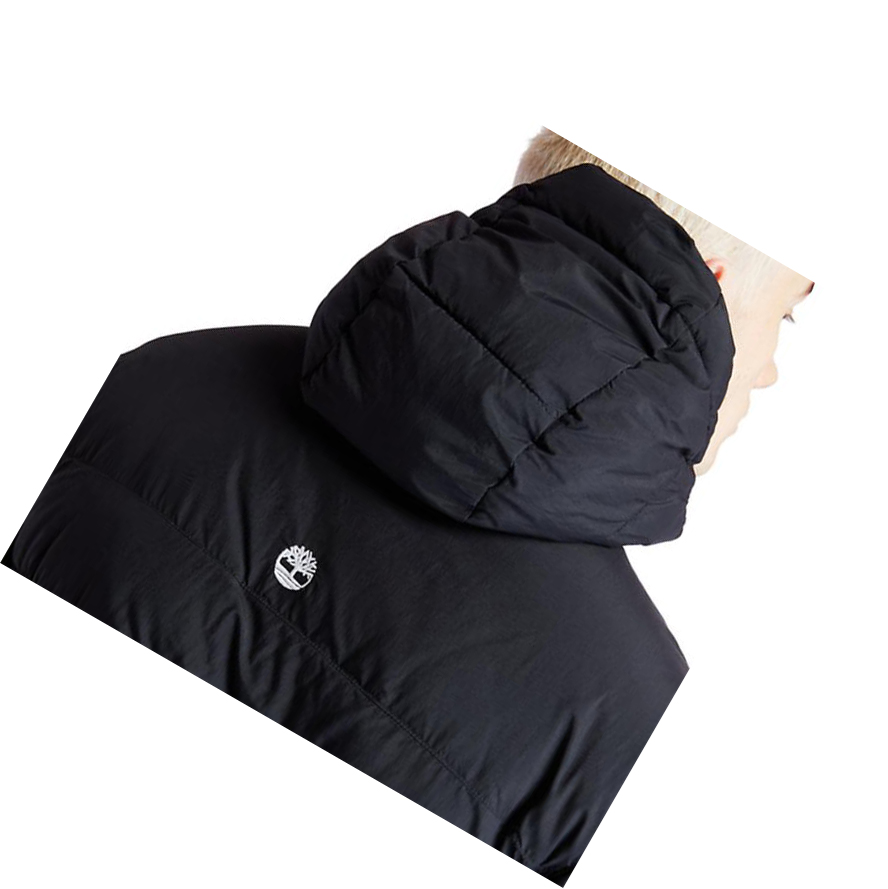 Chaquetas Timberland Outdoor Archive Puffer Bomber Hombre Negras | ES-KNESQ08