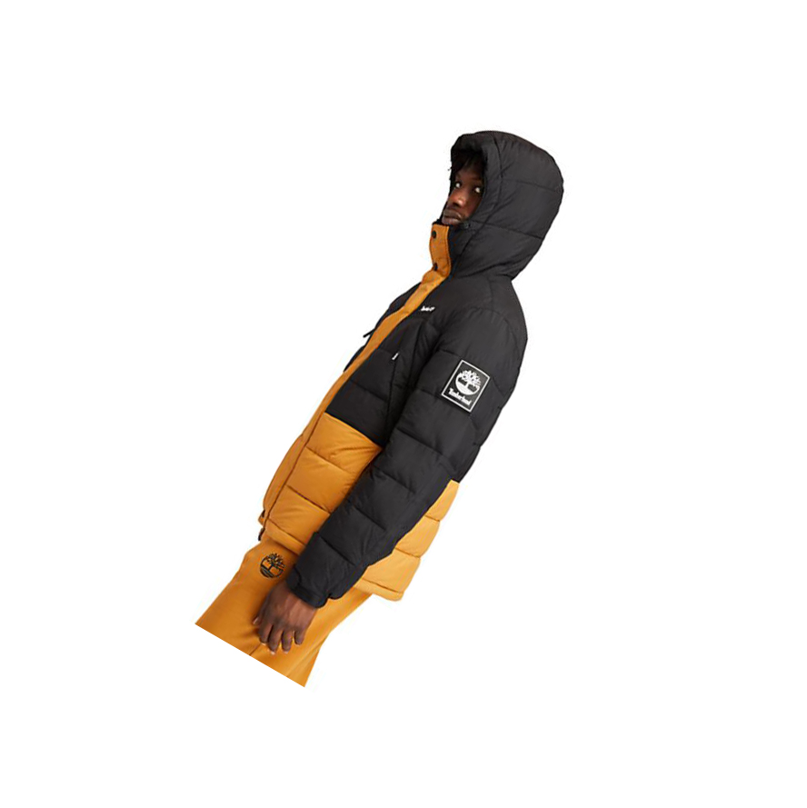 Chaquetas Timberland Outdoor Archive Puffer Quilted-Híbrido Hombre Amarillo | ES-PBLWH90