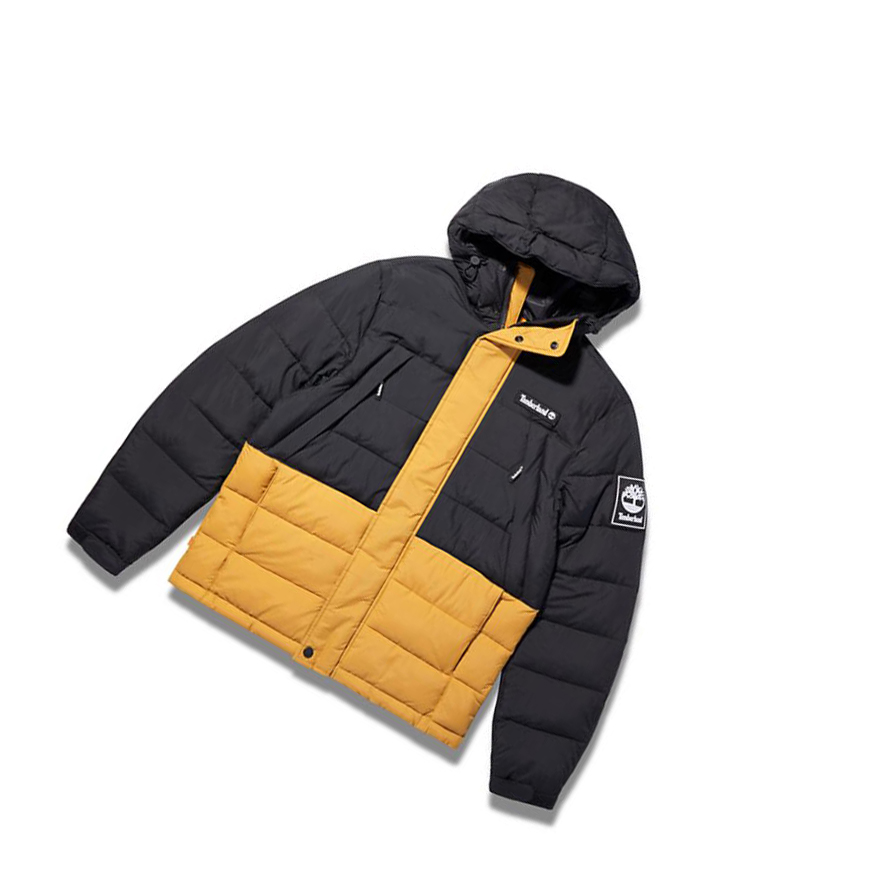 Chaquetas Timberland Outdoor Archive Puffer Quilted-Híbrido Hombre Amarillo | ES-PBLWH90