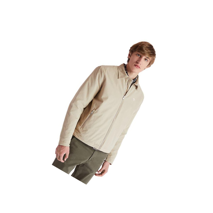 Chaquetas Timberland Stratham Invierno Bomber Hombre Beige | ES-IJSUF49