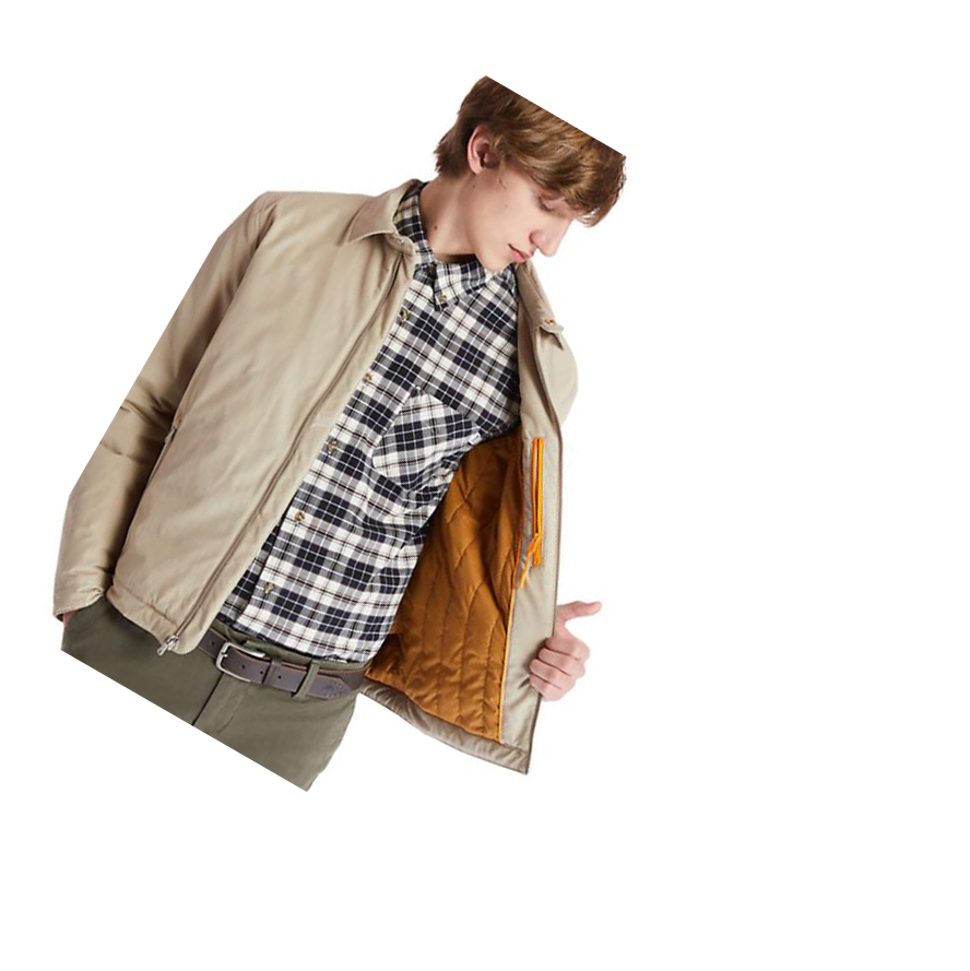 Chaquetas Timberland Stratham Invierno Bomber Hombre Beige | ES-IJSUF49