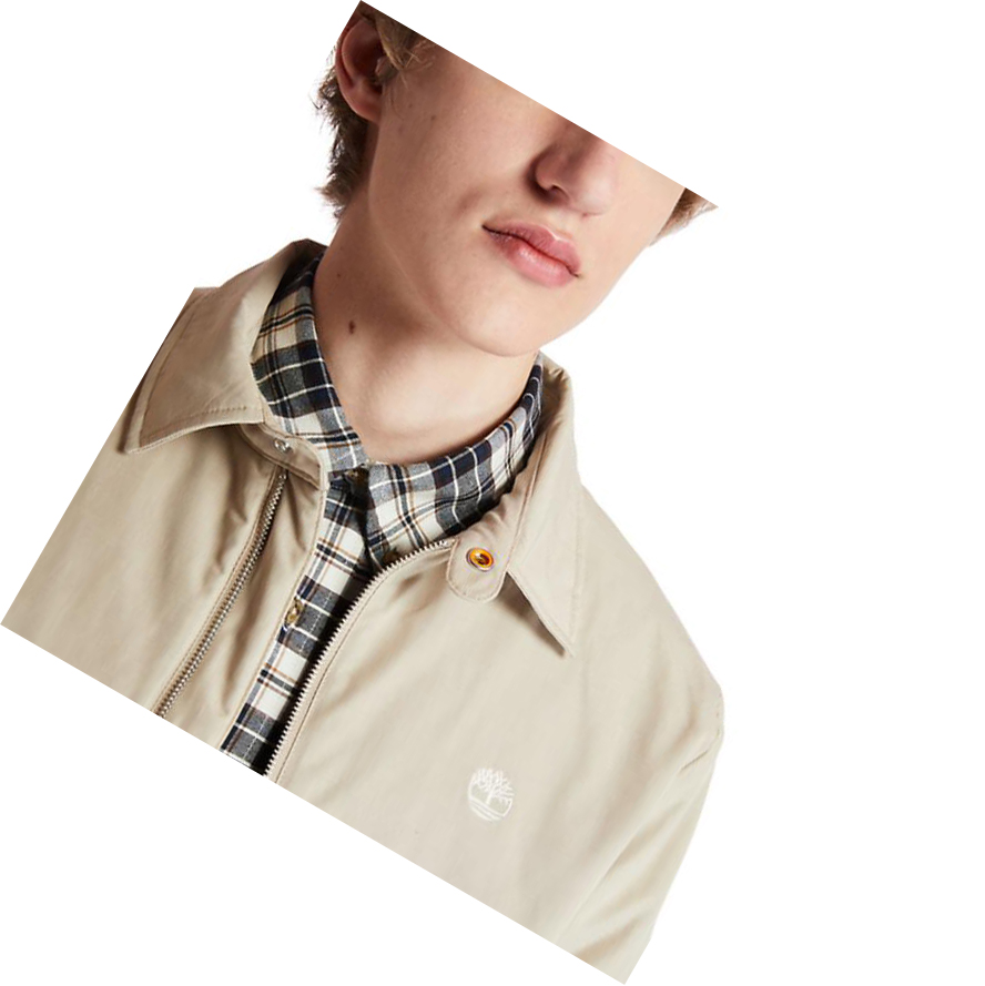 Chaquetas Timberland Stratham Invierno Bomber Hombre Beige | ES-IJSUF49