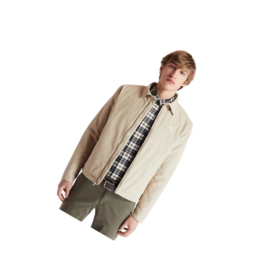 Chaquetas Timberland Stratham Invierno Bomber Hombre Beige | ES-IJSUF49