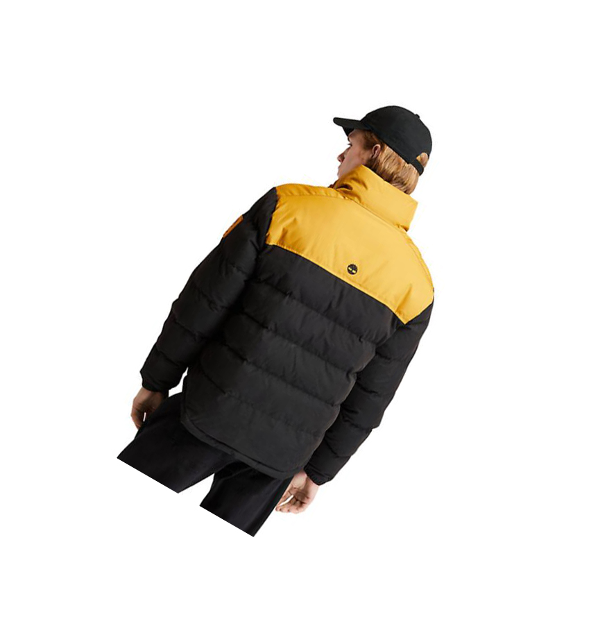 Chaquetas Timberland Welch Mountain Puffer Quilted-Híbrido Hombre Negras | ES-FHBWL21