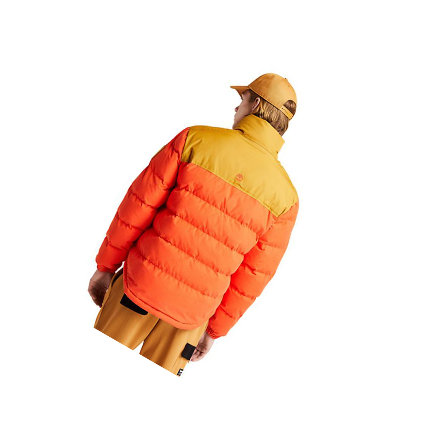 Chaquetas Timberland Welch Mountain Puffer Quilted-Híbrido Hombre Naranjas | ES-PELSC01