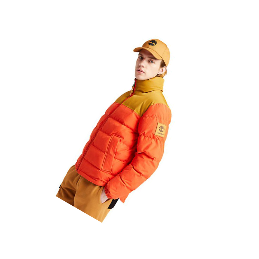 Chaquetas Timberland Welch Mountain Puffer Quilted-Híbrido Hombre Naranjas | ES-PELSC01