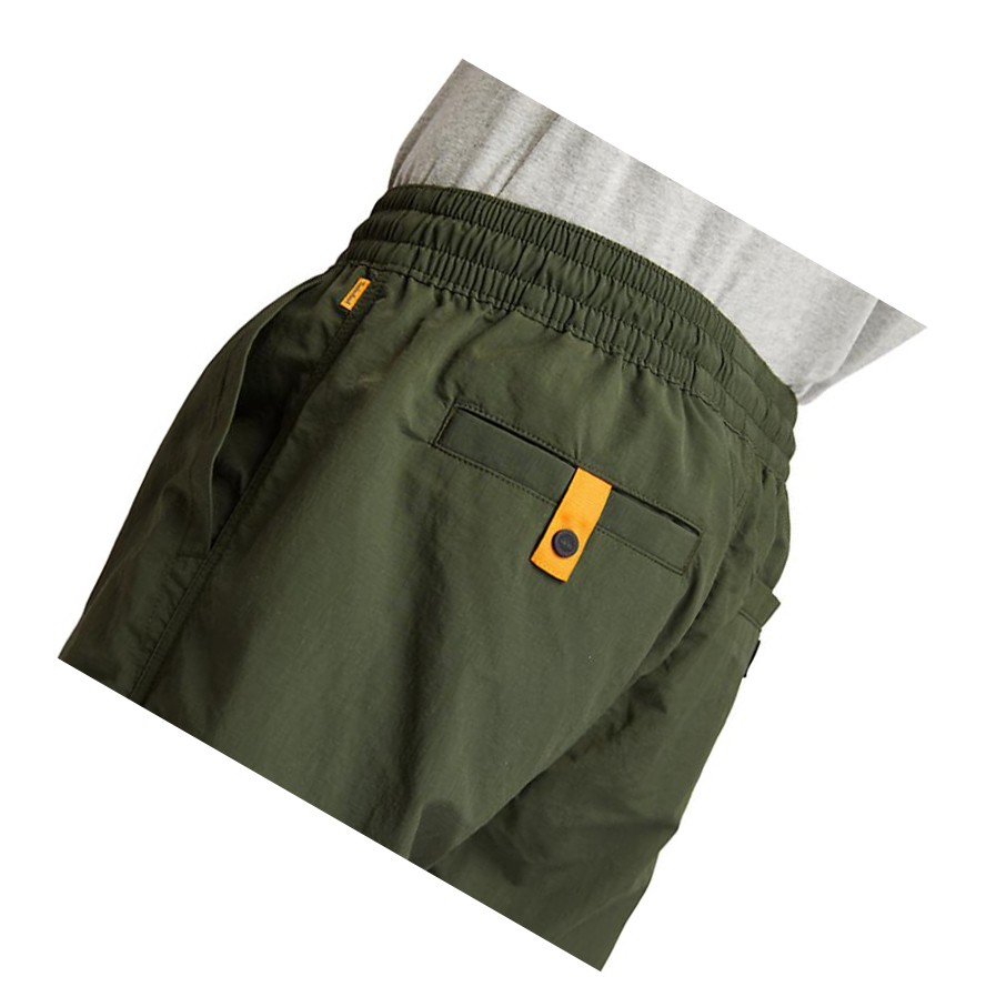 Pantalones Timberland Outdoor Archive Jogger Hombre Verde Oscuro | ES-ATZCP10