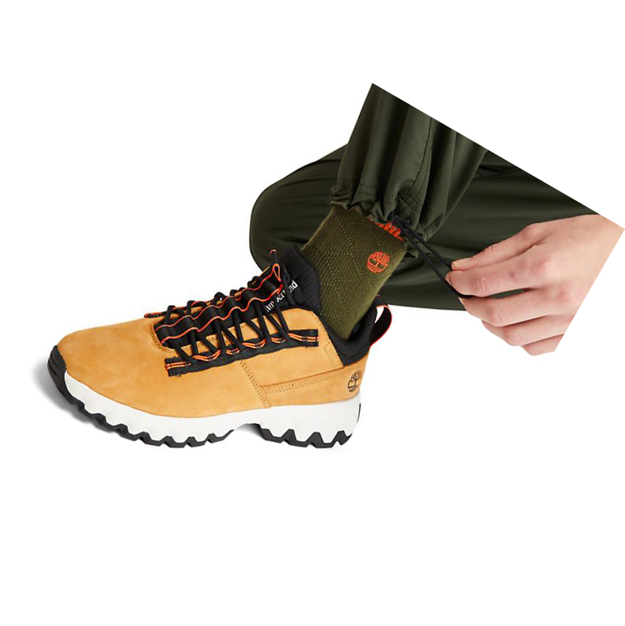 Pantalones Timberland Outdoor Archive Jogger Hombre Verde Oscuro | ES-ATZCP10