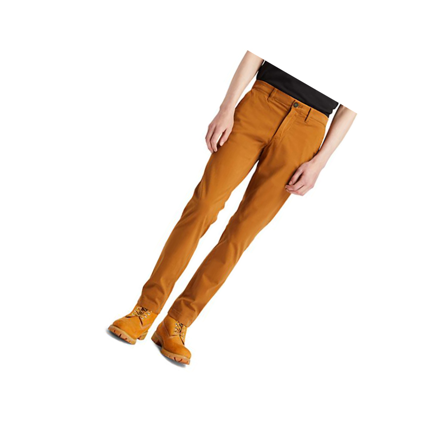 Pantalones Timberland Sargent Lake Ultrastretch Chinos Hombre Marrones | ES-ULEIR07