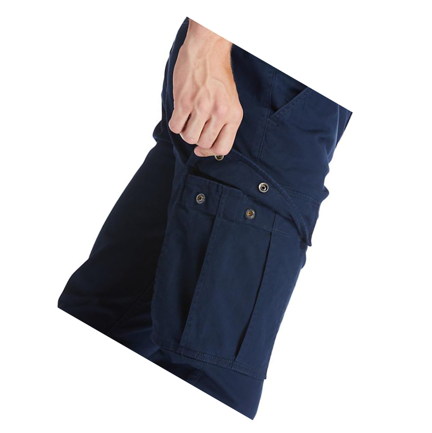 Pantalones Timberland Squam Lake Cargo Hombre Azul Marino | ES-IWYRO87