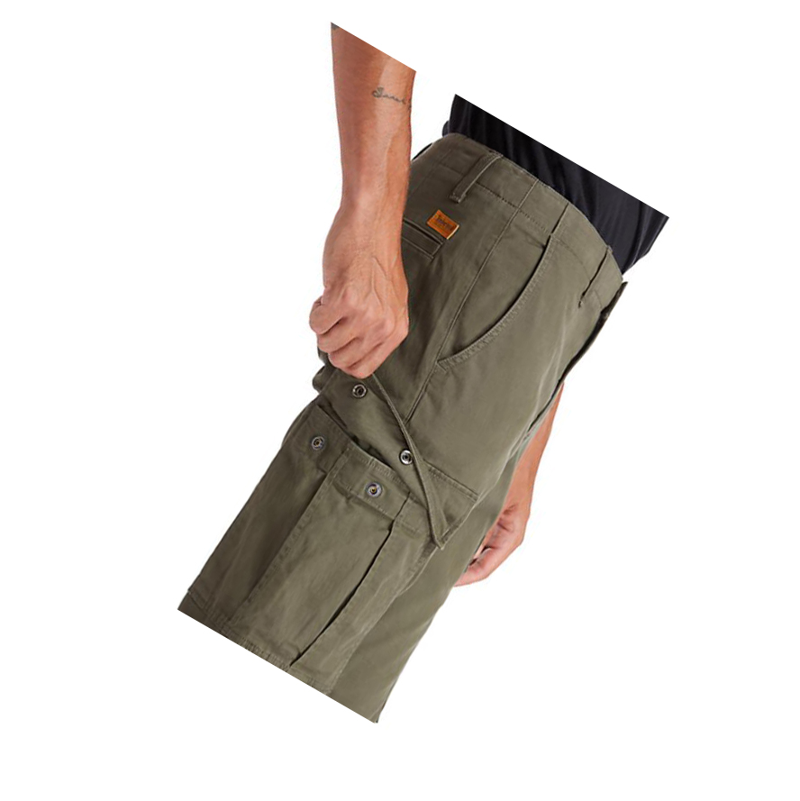 Pantalones Timberland Squam Lake Cargo Hombre Verde | ES-YZJDT65