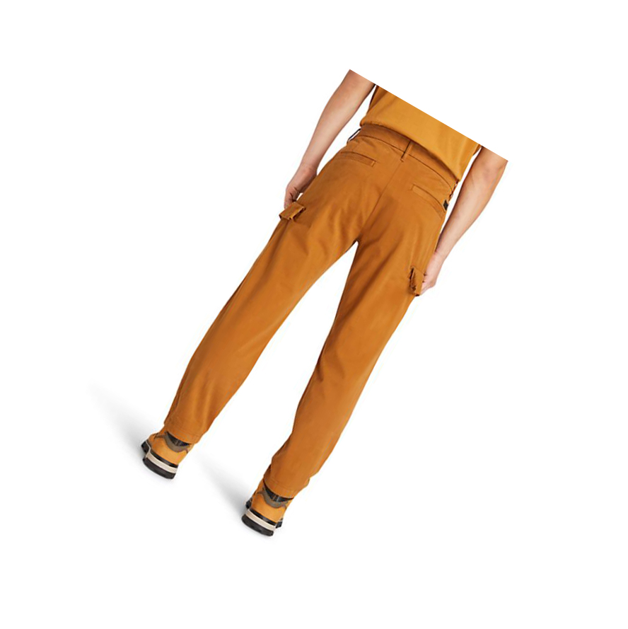 Pantalones Timberland Ultrastretch Cargo Hombre Marrones | ES-RAPHX06