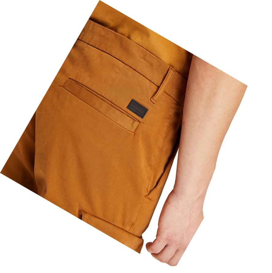 Pantalones Timberland Ultrastretch Cargo Hombre Marrones | ES-RAPHX06