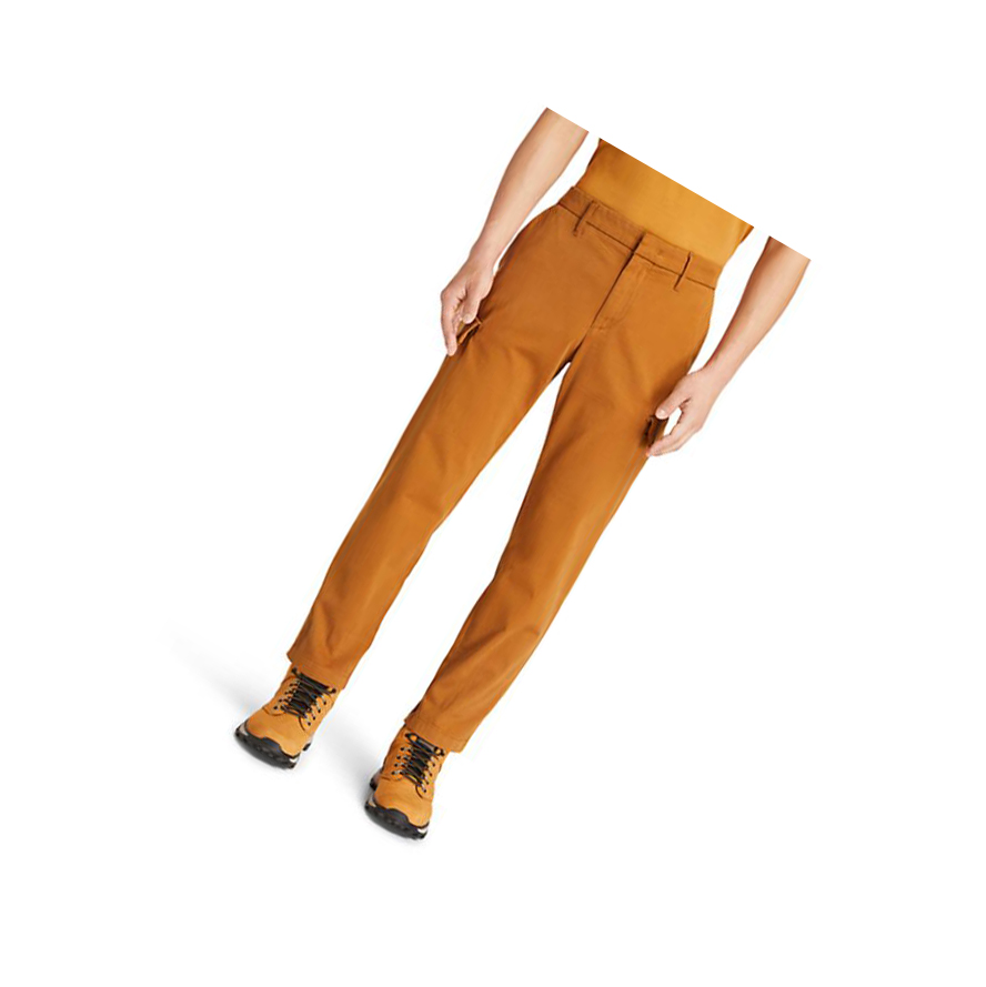 Pantalones Timberland Ultrastretch Cargo Hombre Marrones | ES-RAPHX06