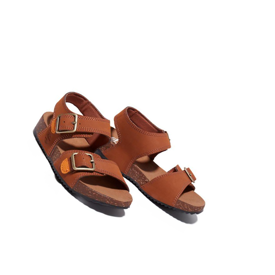 Sandalias Timberland Castle Island Backstrap Niños Marrones | ES-IMAQX64