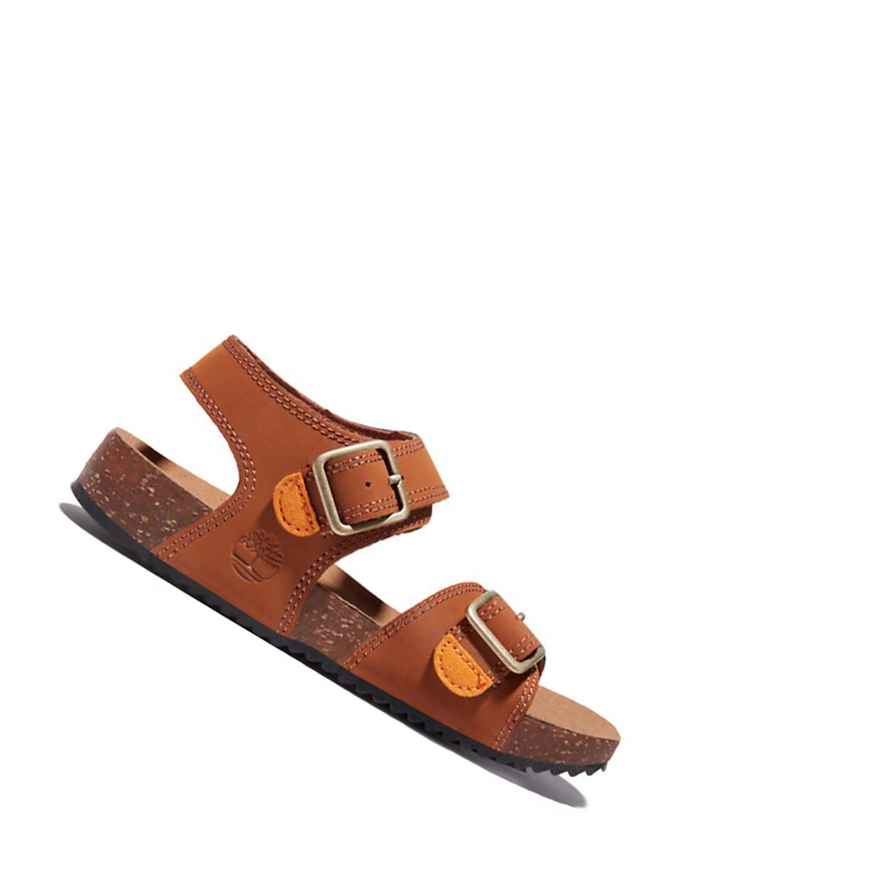 Sandalias Timberland Castle Island Backstrap Niños Marrones | ES-VWDHU29