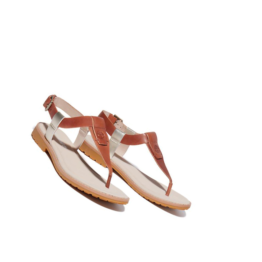 Sandalias Timberland Chicago Riverside Tanga Mujer Marrones | ES-HNRCB83