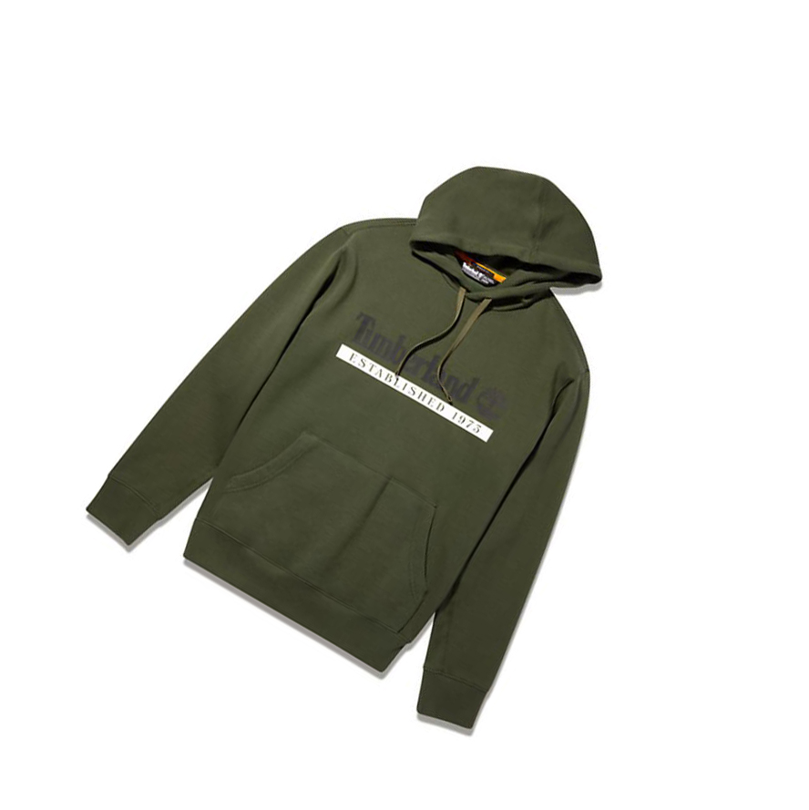 Sudadera Con Capucha Timberland Established 1973 Hombre Verde Oscuro | ES-RHKTF59