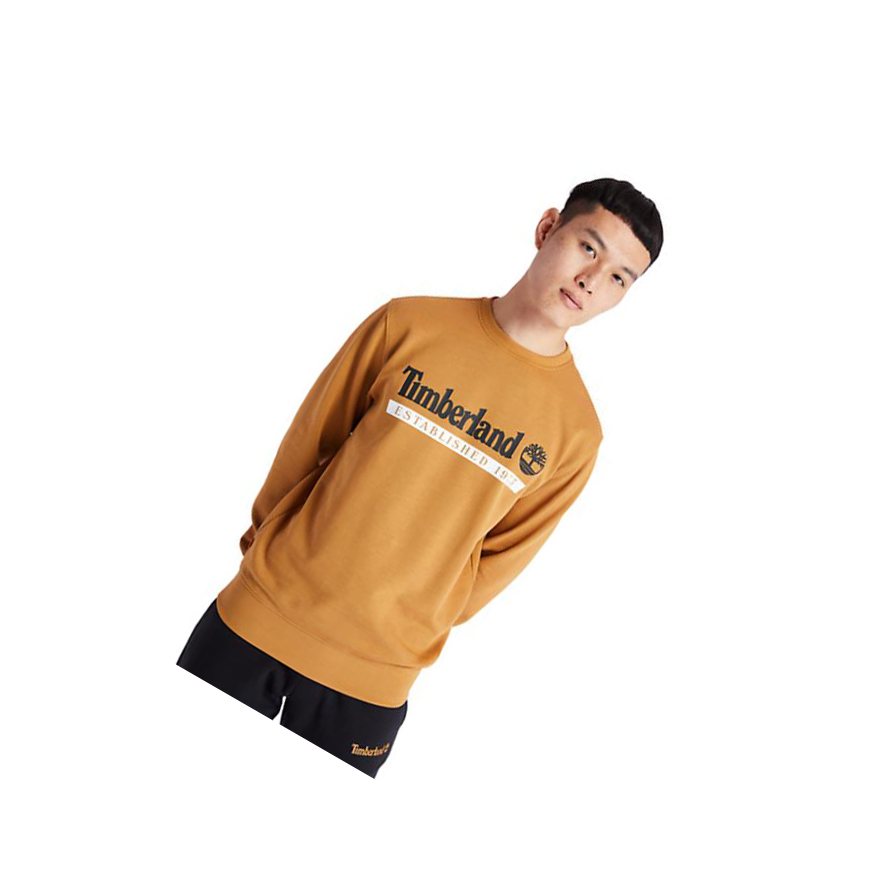 Sudaderas Timberland Established 1973 Crew Hombre Amarillo | ES-CGJQR23