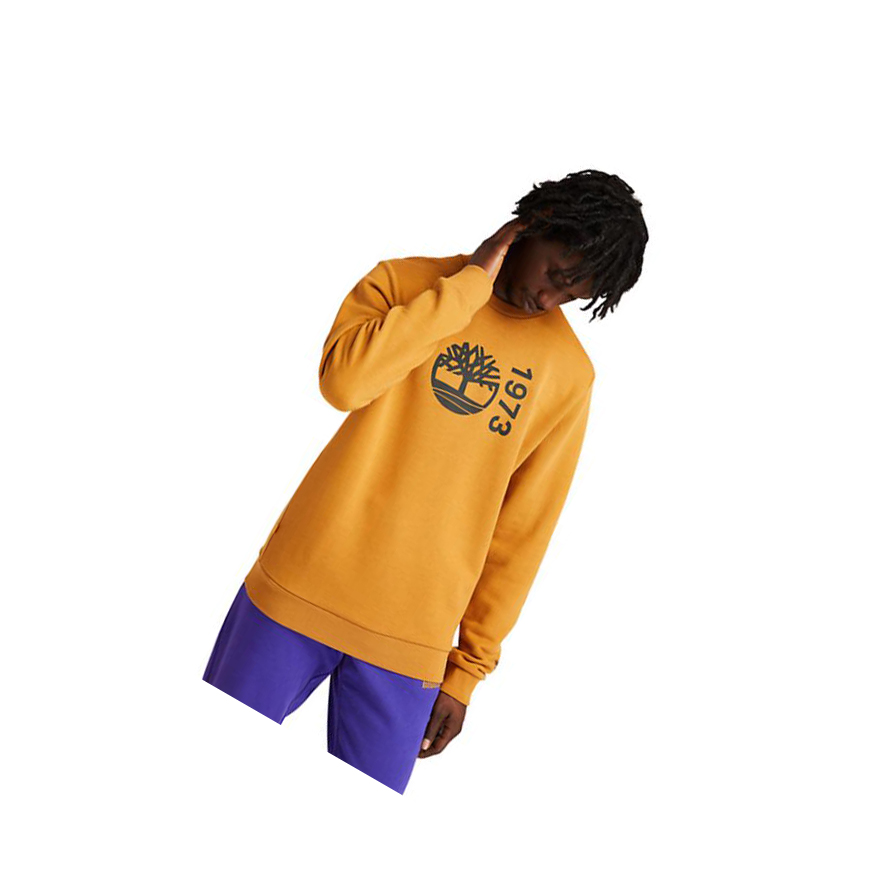 Sudaderas Timberland Re-Comodidad EK+ Hombre Amarillo | ES-ISJVK73