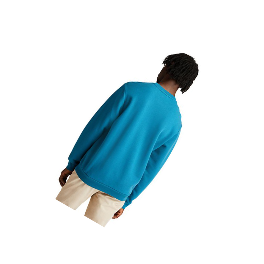 Sudaderas Timberland Re-Comodidad EK+ Hombre Teal | ES-MHEVO73