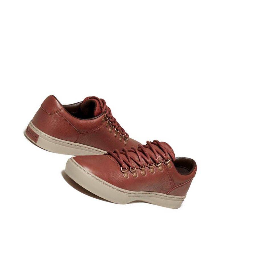 Zapatillas Timberland Adventure 2.0 Cupsole Alpine Hombre Marrones | ES-APOZN15