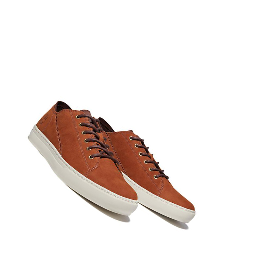 Zapatillas Timberland Adventure 2.0 Cupsole Oxford Hombre Marrones | ES-FSXJY34