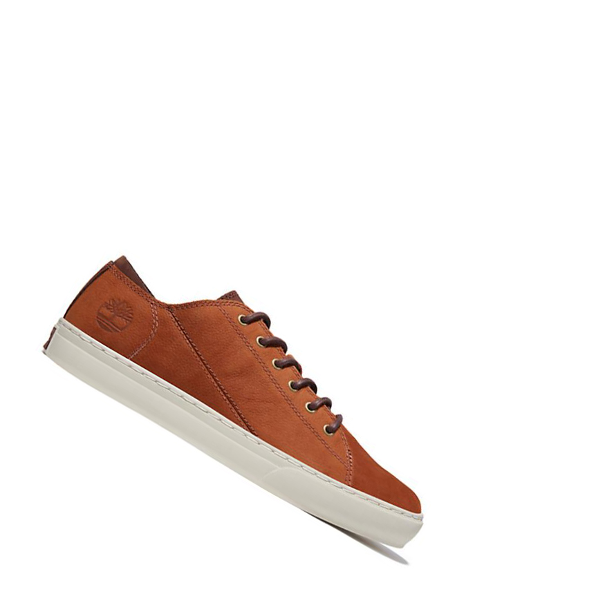 Zapatillas Timberland Adventure 2.0 Cupsole Oxford Hombre Marrones | ES-FSXJY34