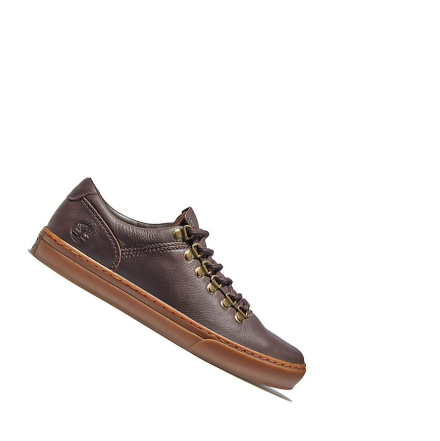 Zapatillas Timberland Adventure 2.0 Cupsole Alpine Hombre Marrones Oscuro | ES-XYISZ62