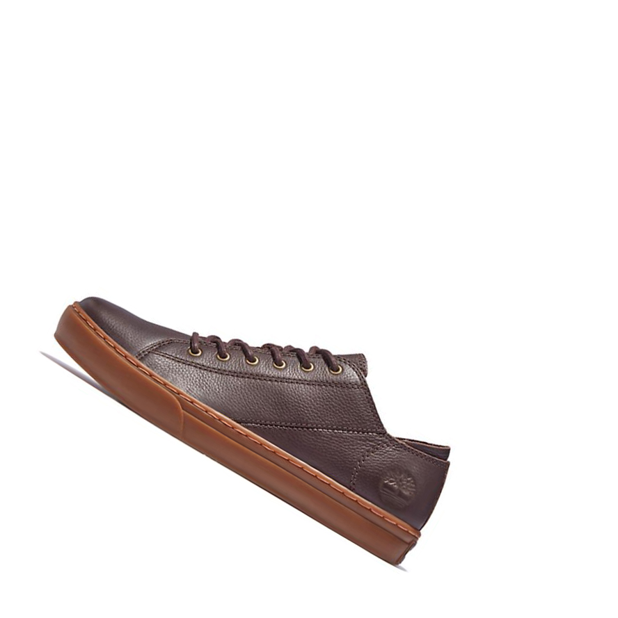 Zapatillas Timberland Adventure 2.0 Hombre Marrones Oscuro | ES-CATGS47