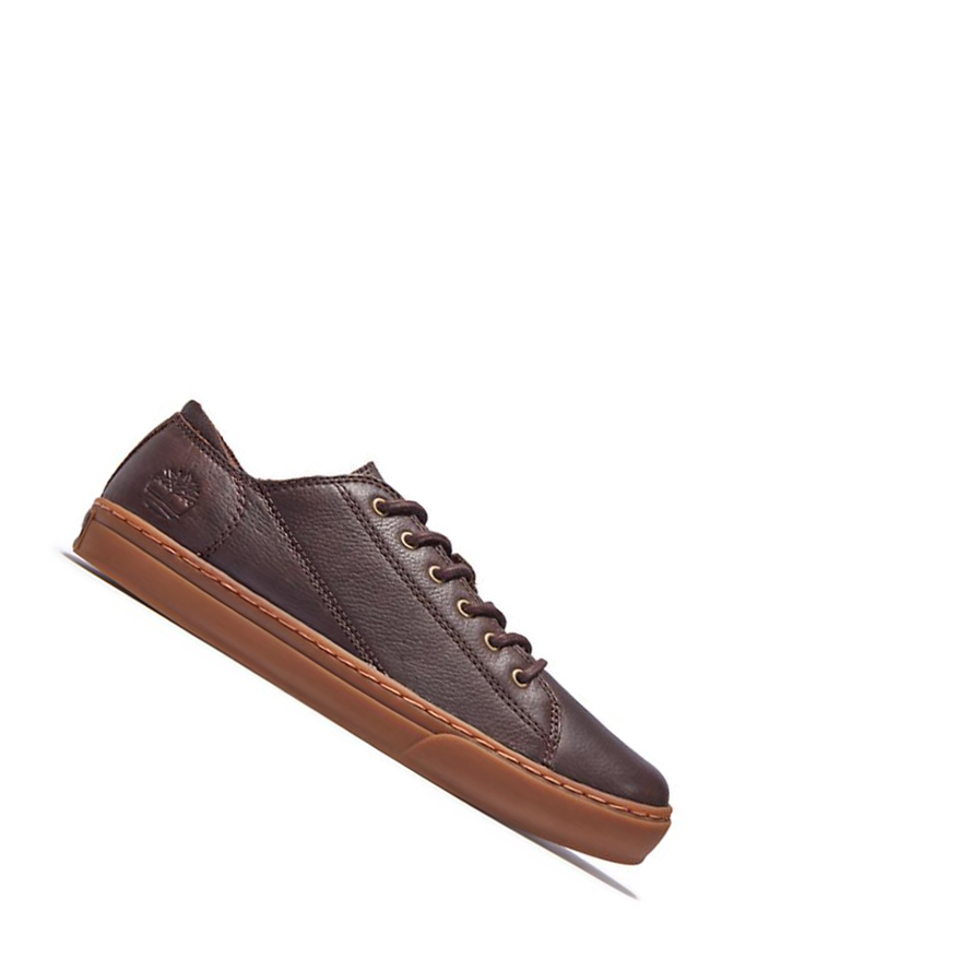 Zapatillas Timberland Adventure 2.0 Hombre Marrones Oscuro | ES-CATGS47