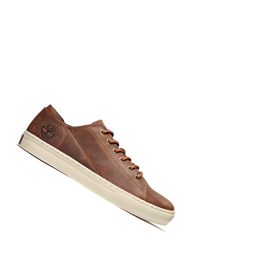 Zapatillas Timberland Adventure 2.0 Hombre Marrones | ES-XEIGN92