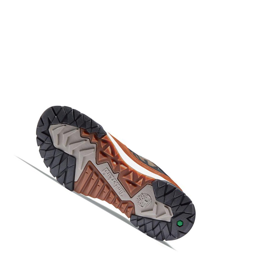 Zapatillas Timberland Boulder Trail Trekker Hombre Marrones | ES-DPLEK51