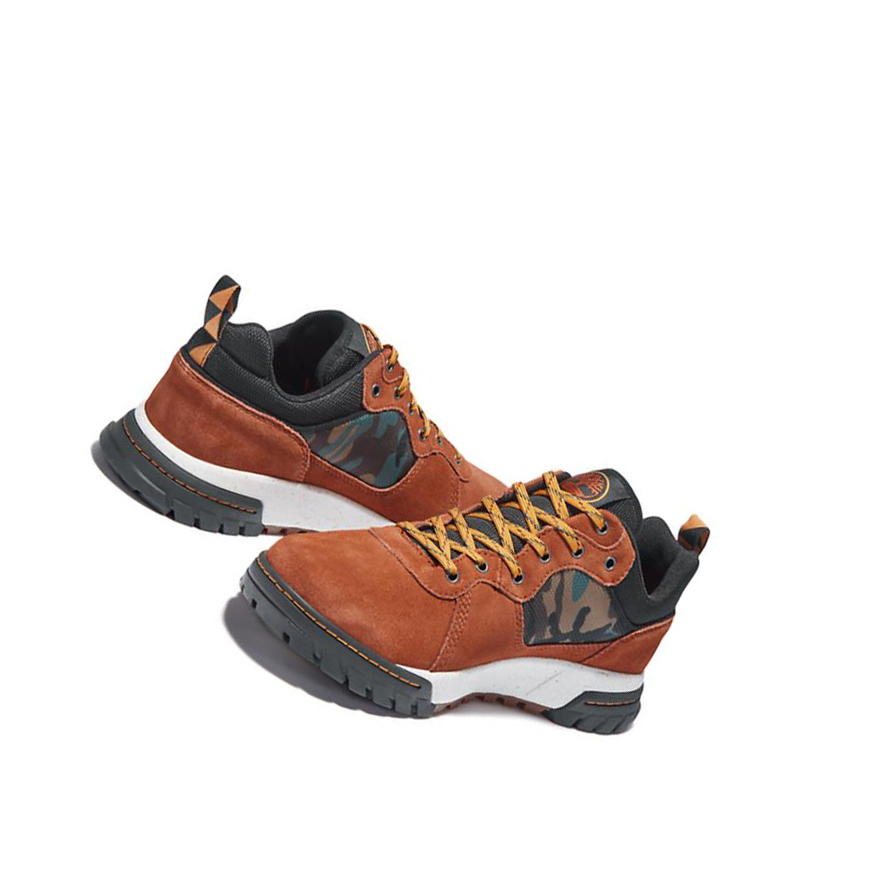 Zapatillas Timberland Boulder Trail Trekker Hombre Marrones | ES-DPLEK51