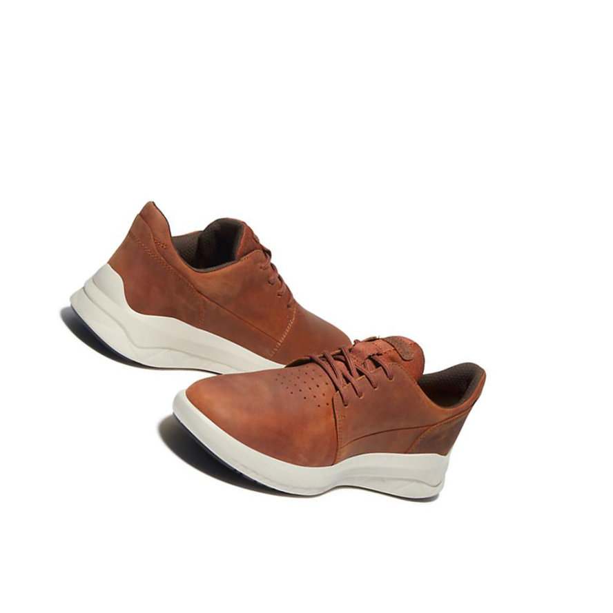 Zapatillas Timberland Bradstreet Ultra Hombre Marrones | ES-KWATZ46