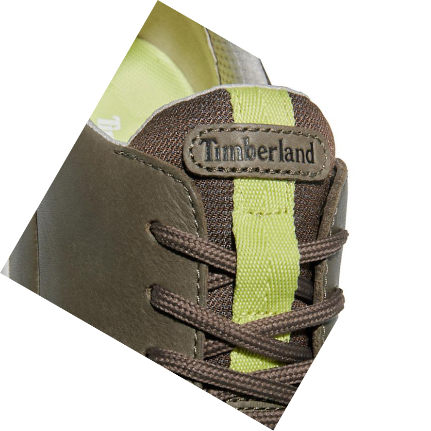 Zapatillas Timberland Bradstreet Ultra Hombre Greige | ES-QVCIZ84