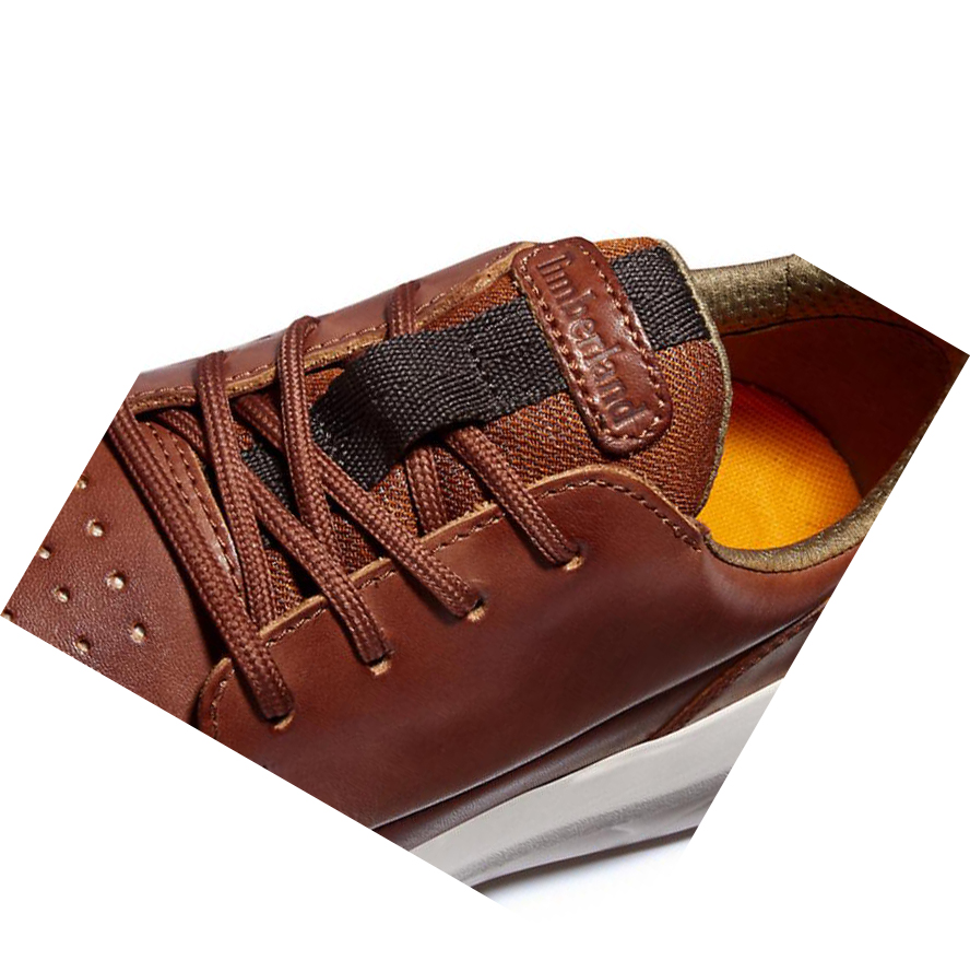 Zapatillas Timberland Bradstreet Ultra Hombre Marrones | ES-VOSPH10