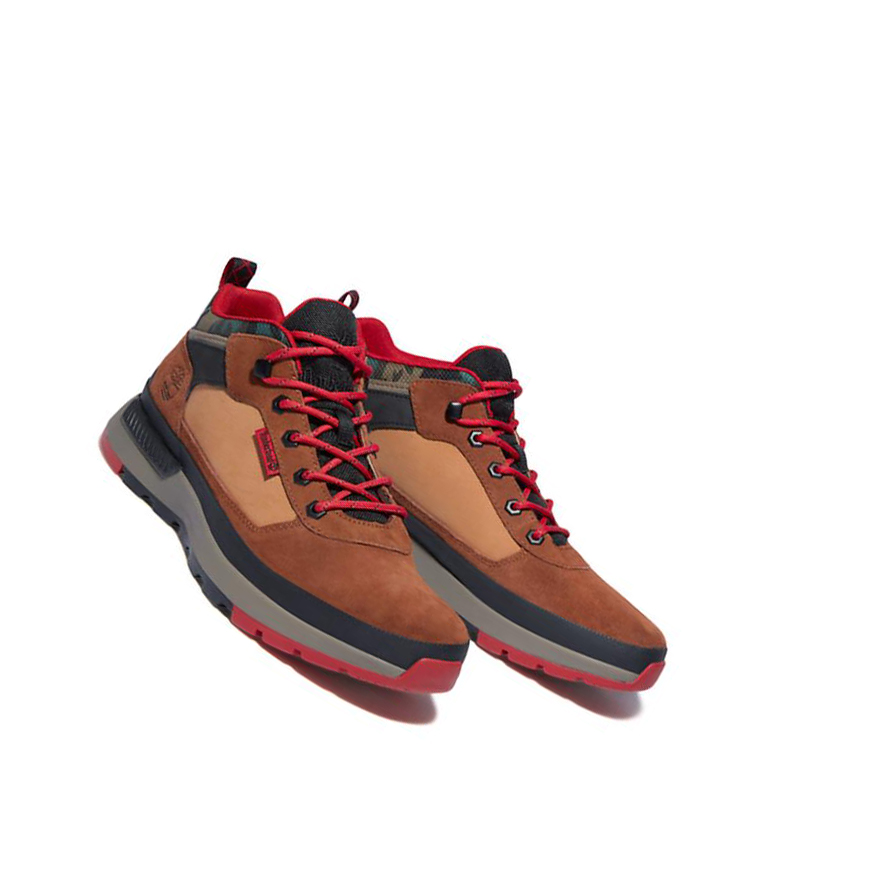 Zapatillas Timberland Field Trekker Hombre Marrones | ES-WDHPC93