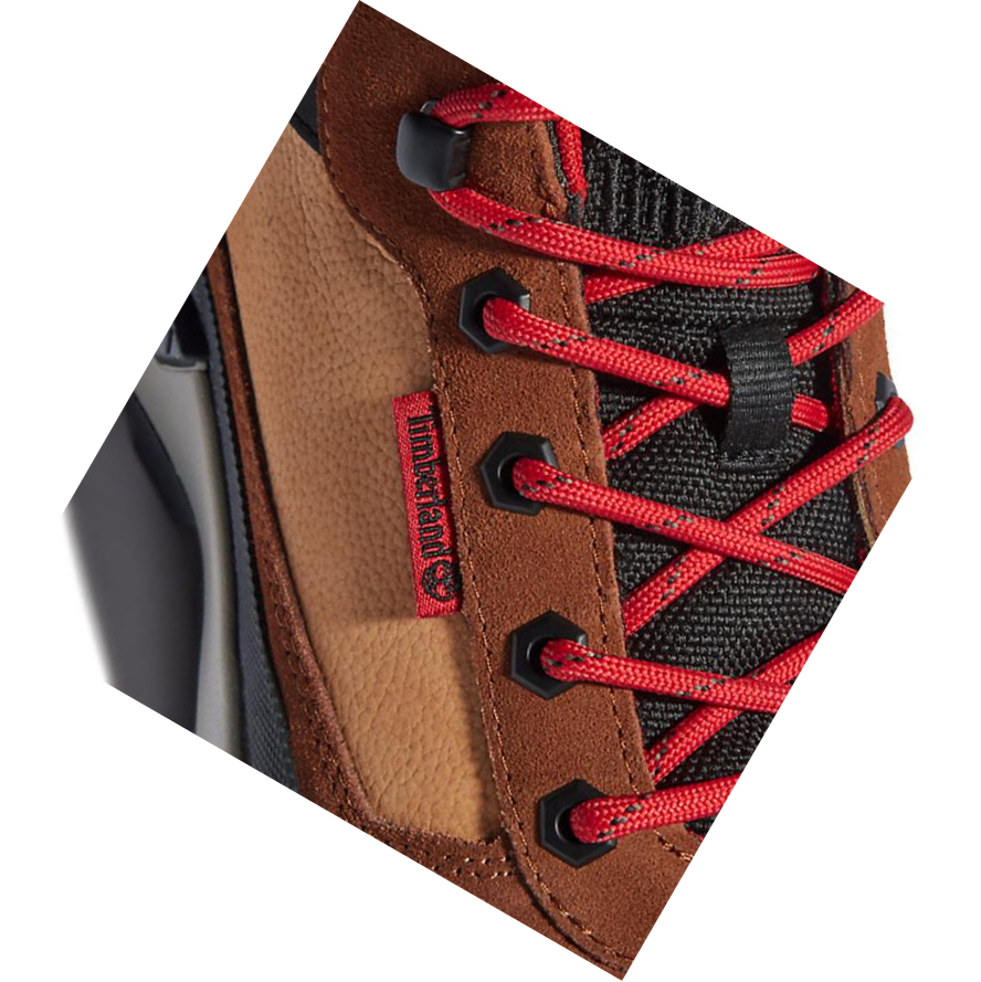 Zapatillas Timberland Field Trekker Hombre Marrones | ES-WDHPC93