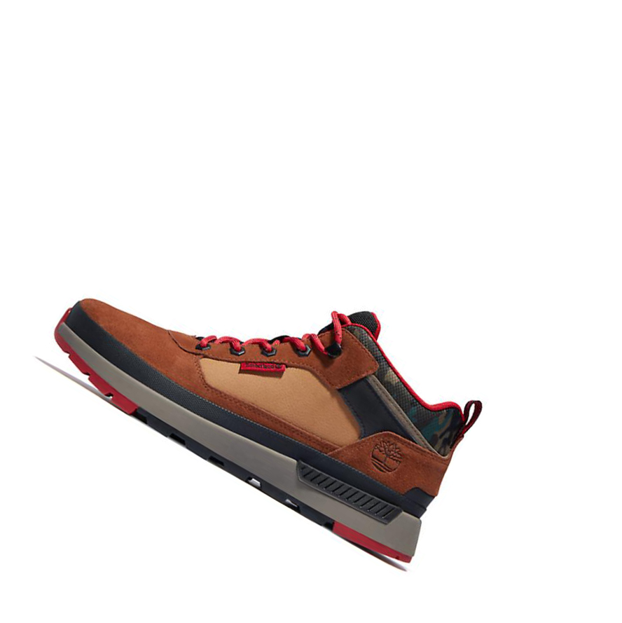 Zapatillas Timberland Field Trekker Hombre Marrones | ES-WDHPC93