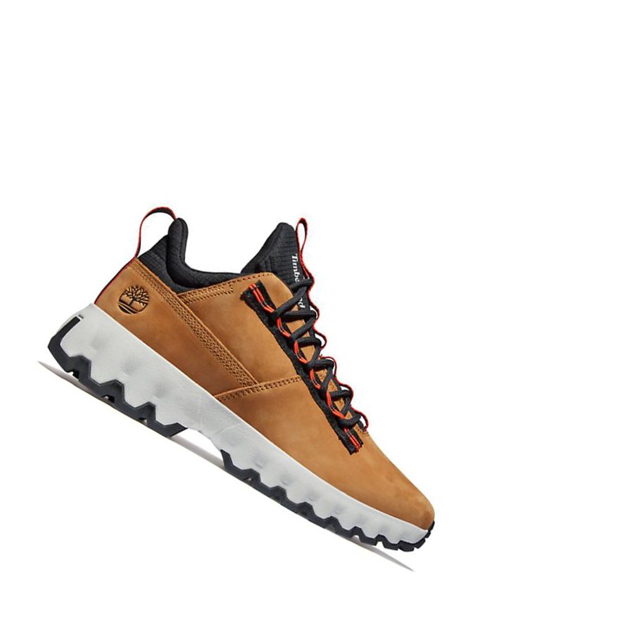 Zapatillas Timberland GreenStride™ Edge Hombre Amarillo | ES-GQROX32