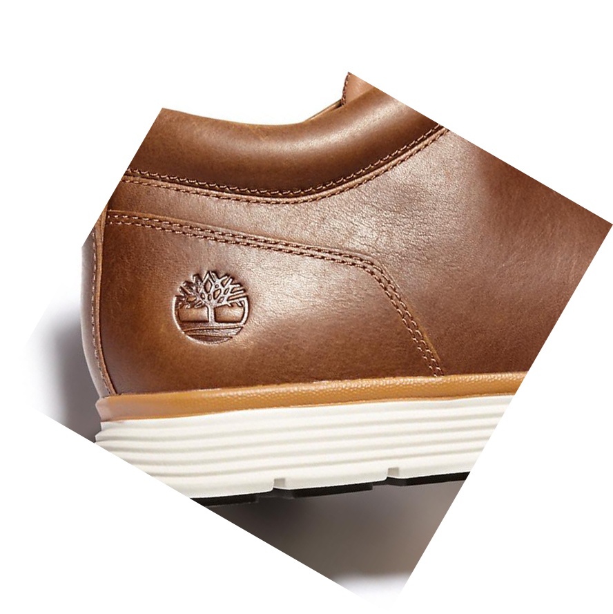 Zapatillas Timberland Killington Oxford Hombre Marrones | ES-USPJE53