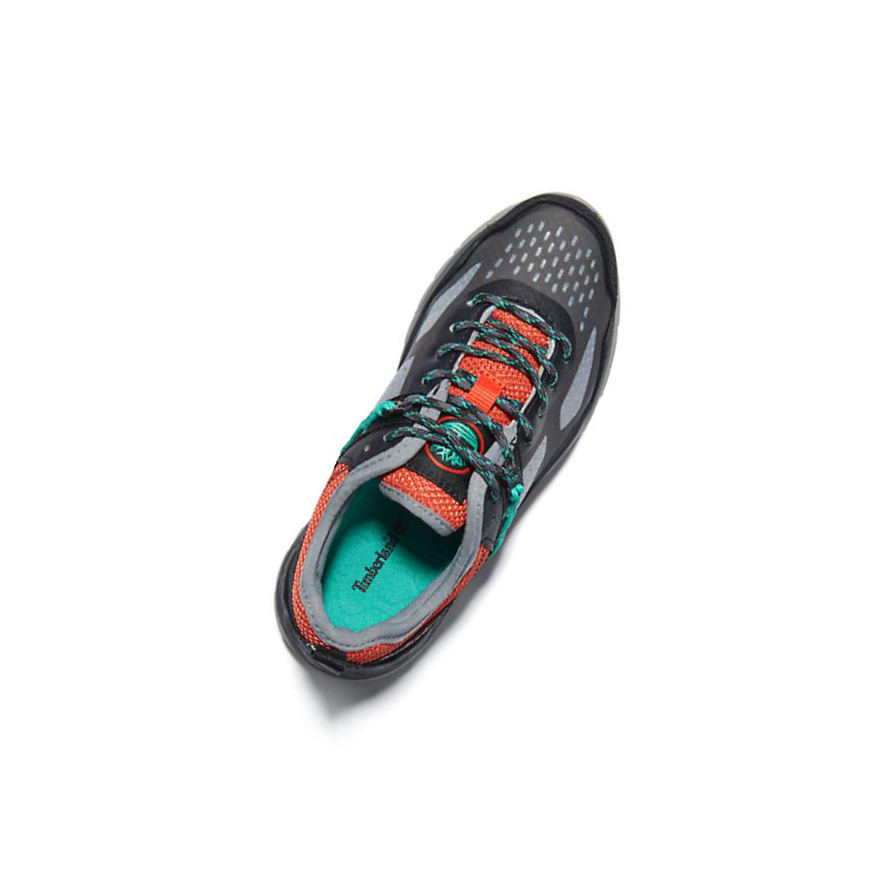 Zapatillas Timberland Solar Wave TR GreenStride™ Niños Gris | ES-BHLYO25