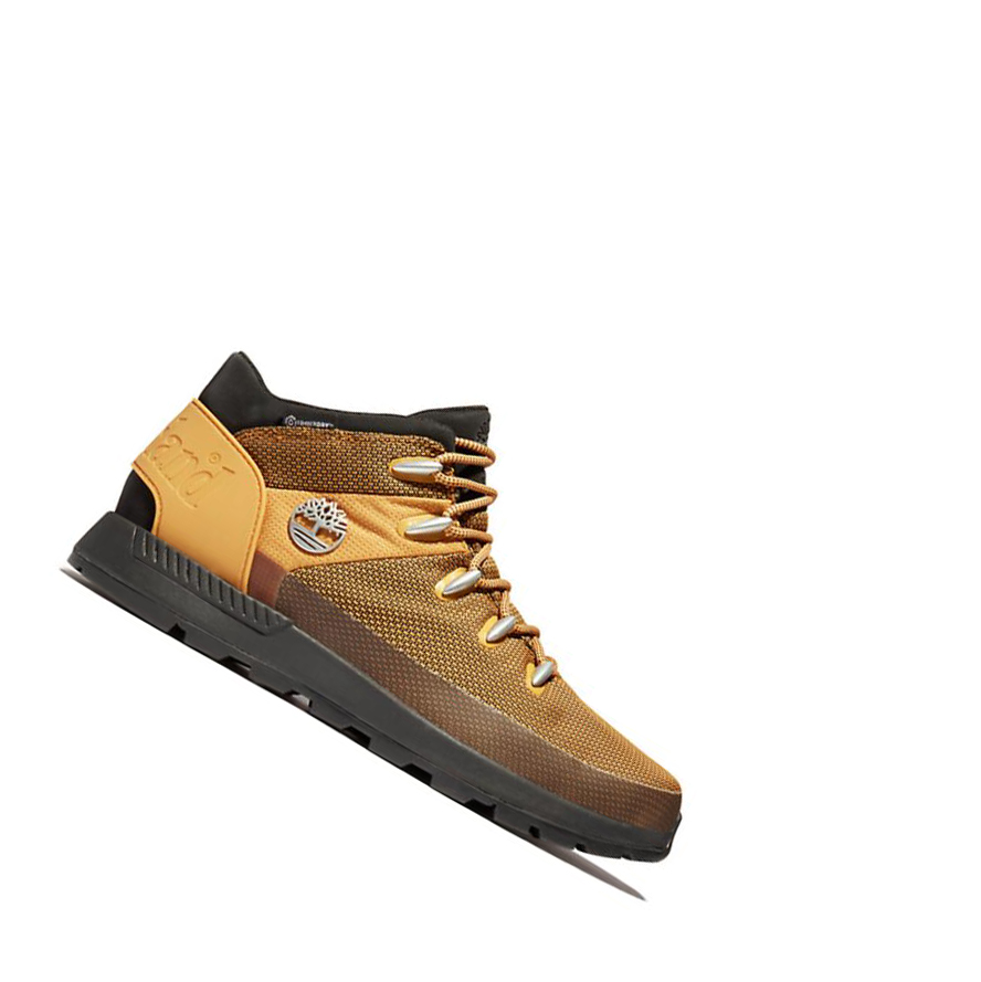 Zapatillas Timberland Sprint Trekker Chukka Hombre Amarillo | ES-QOHVX50